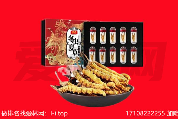 大宁县回收虫草.jpg